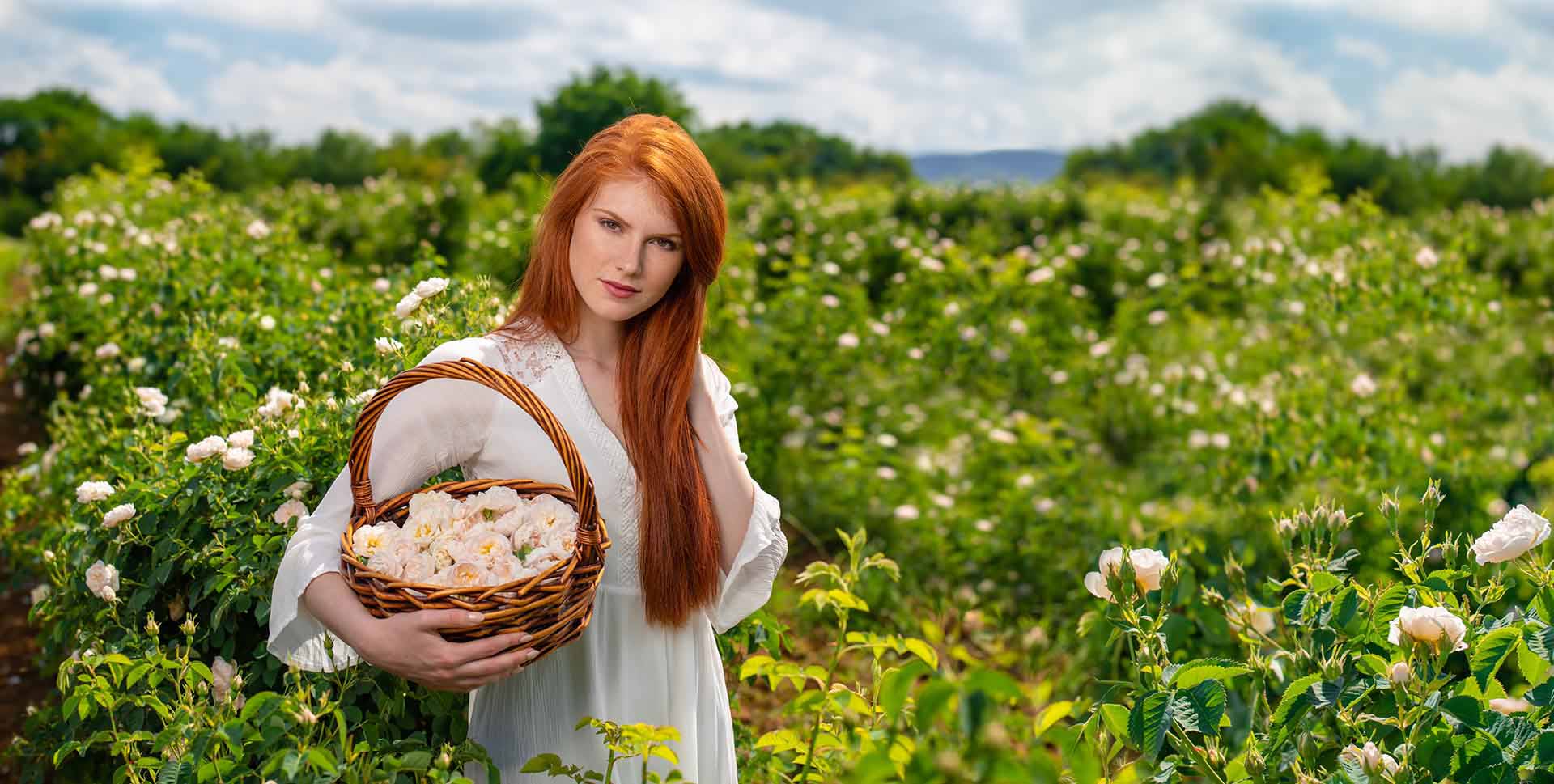 alteya organics rose field