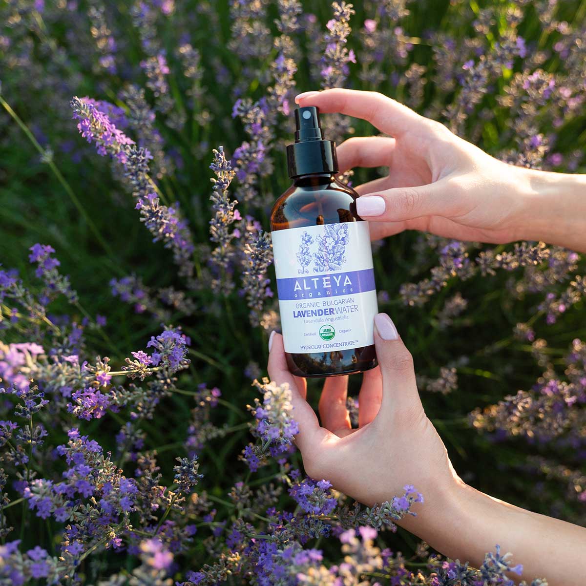 Lavender Water for your skin