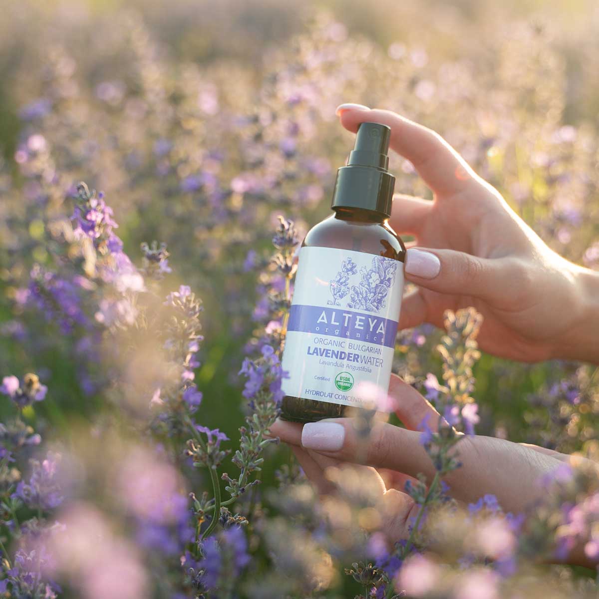 Lavender water alteya organics