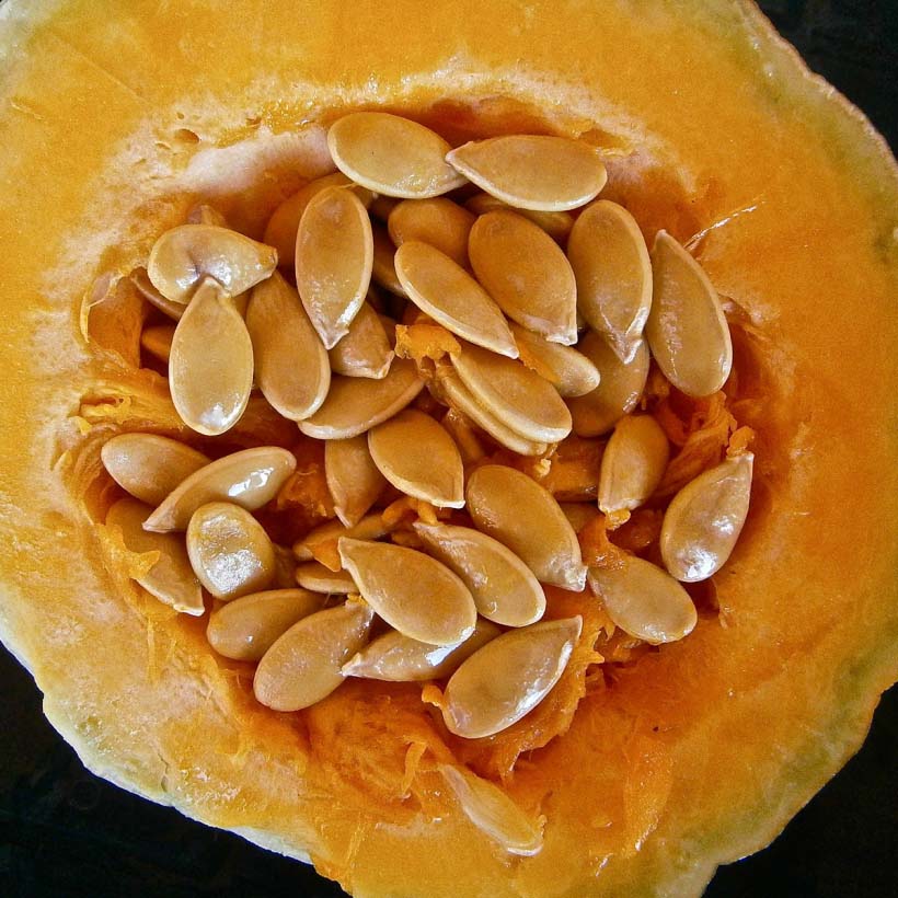 organic pumpkin seed oil