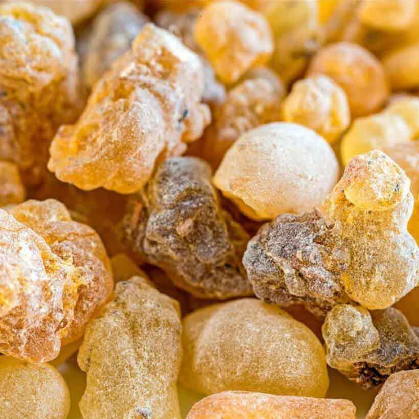 certified organic frankincense carterii oil