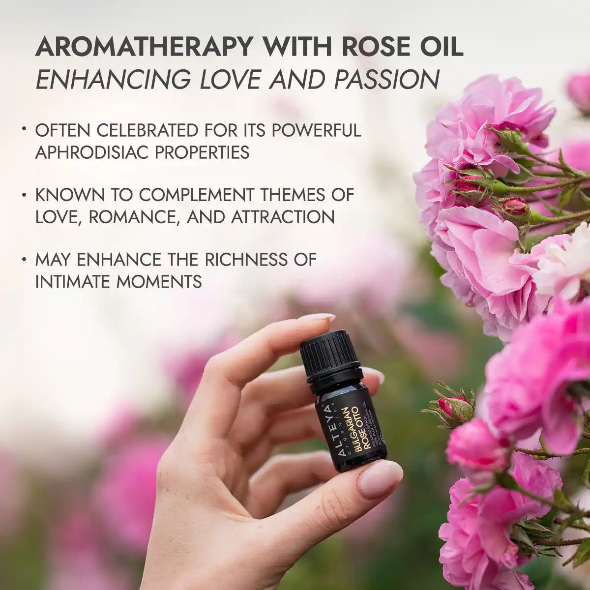 aromatherapy bulgarian rose essential oil alteya organics