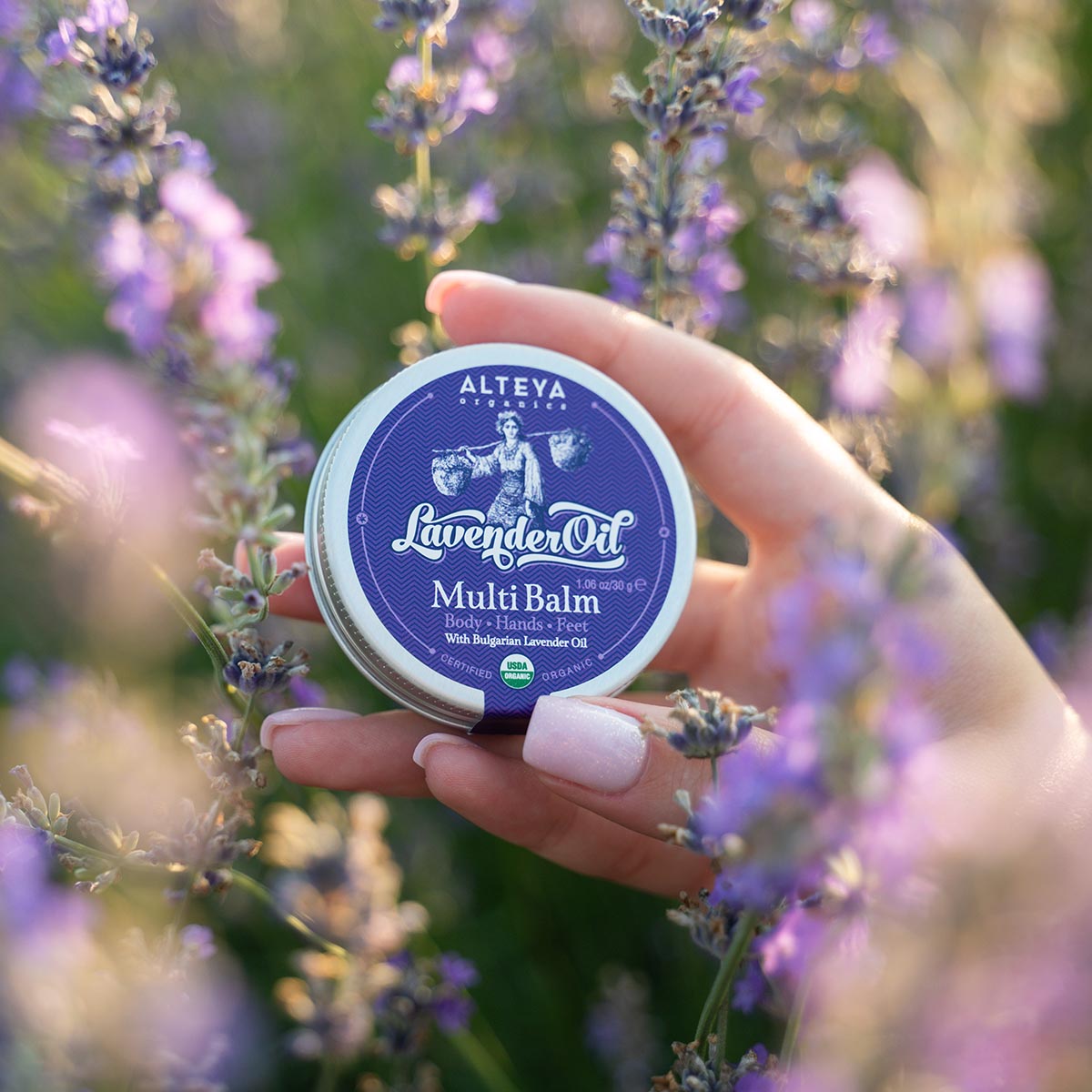 lavender-multi-bam