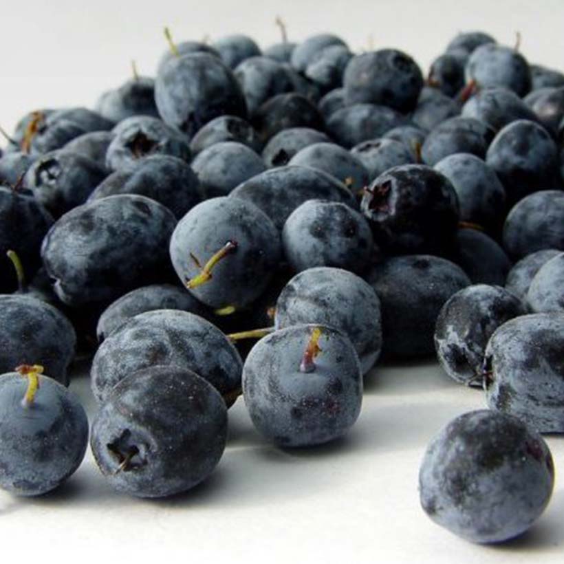 certified organic acai berry oil