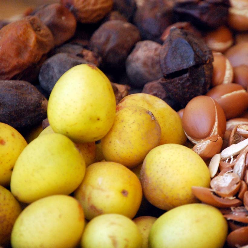 certified organic argan oil