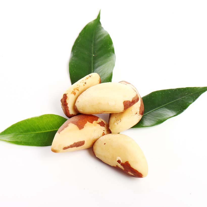 certified organic brazil nut оil