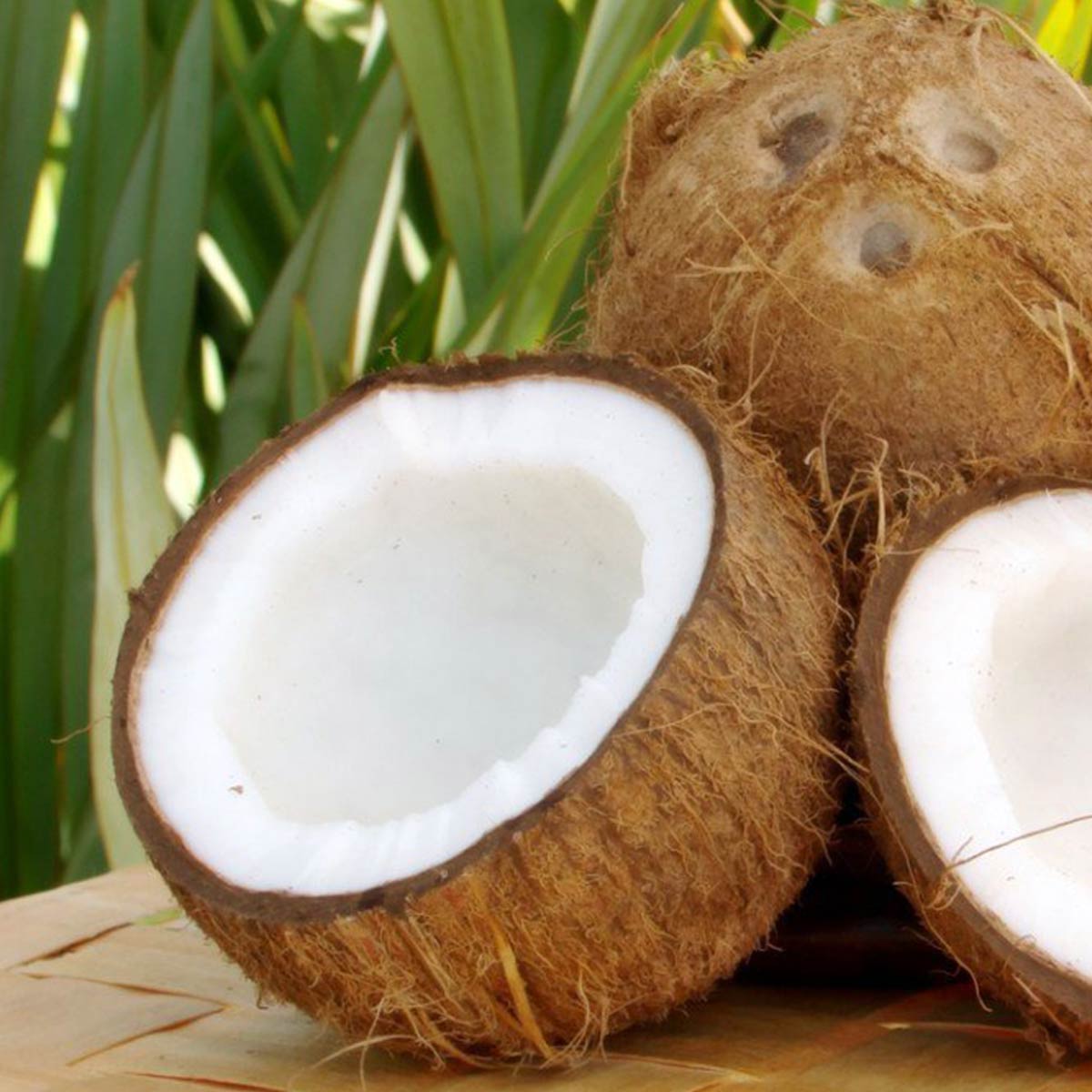 organic-carrier-oils-organic-coconut-oil