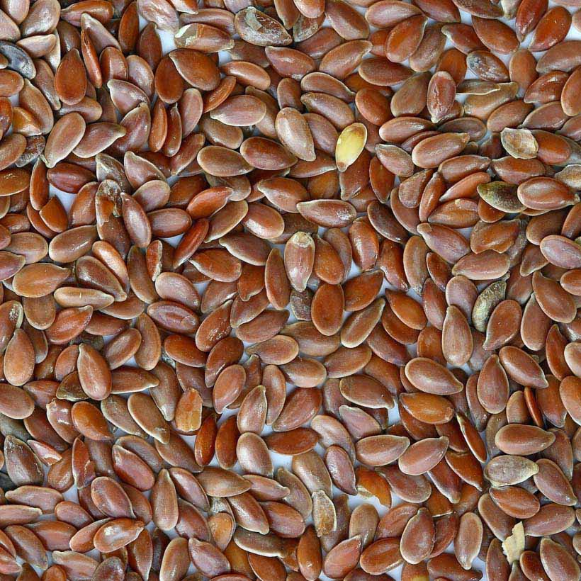 certified organic flax seed oil