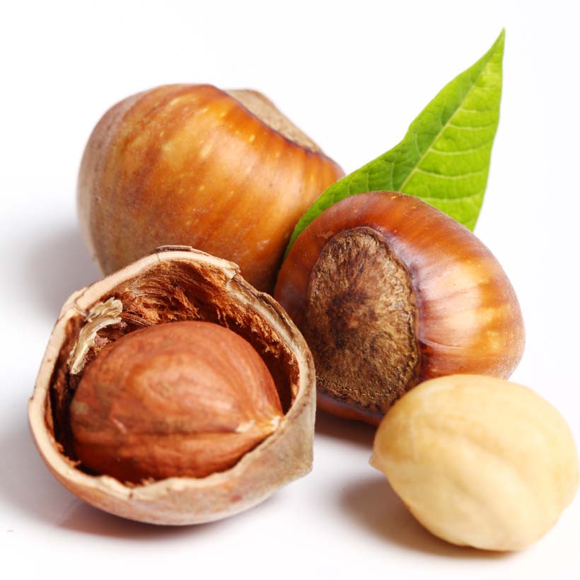 certified organic hazelnut oil