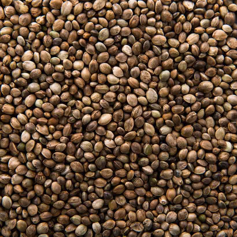 certified organic hemp seed oil