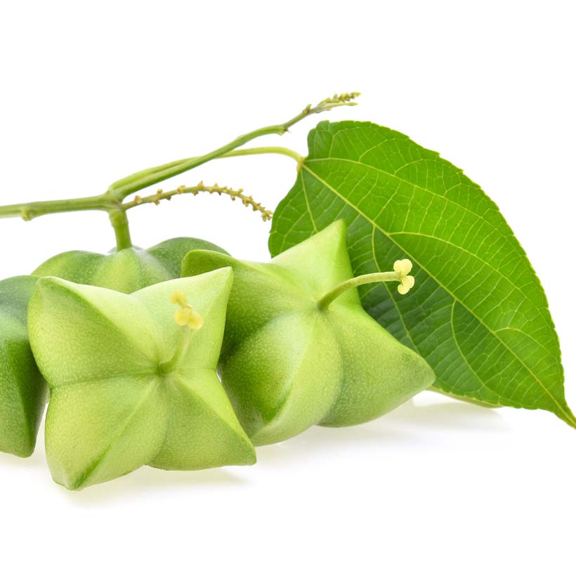 organic sacha inchi seed oil