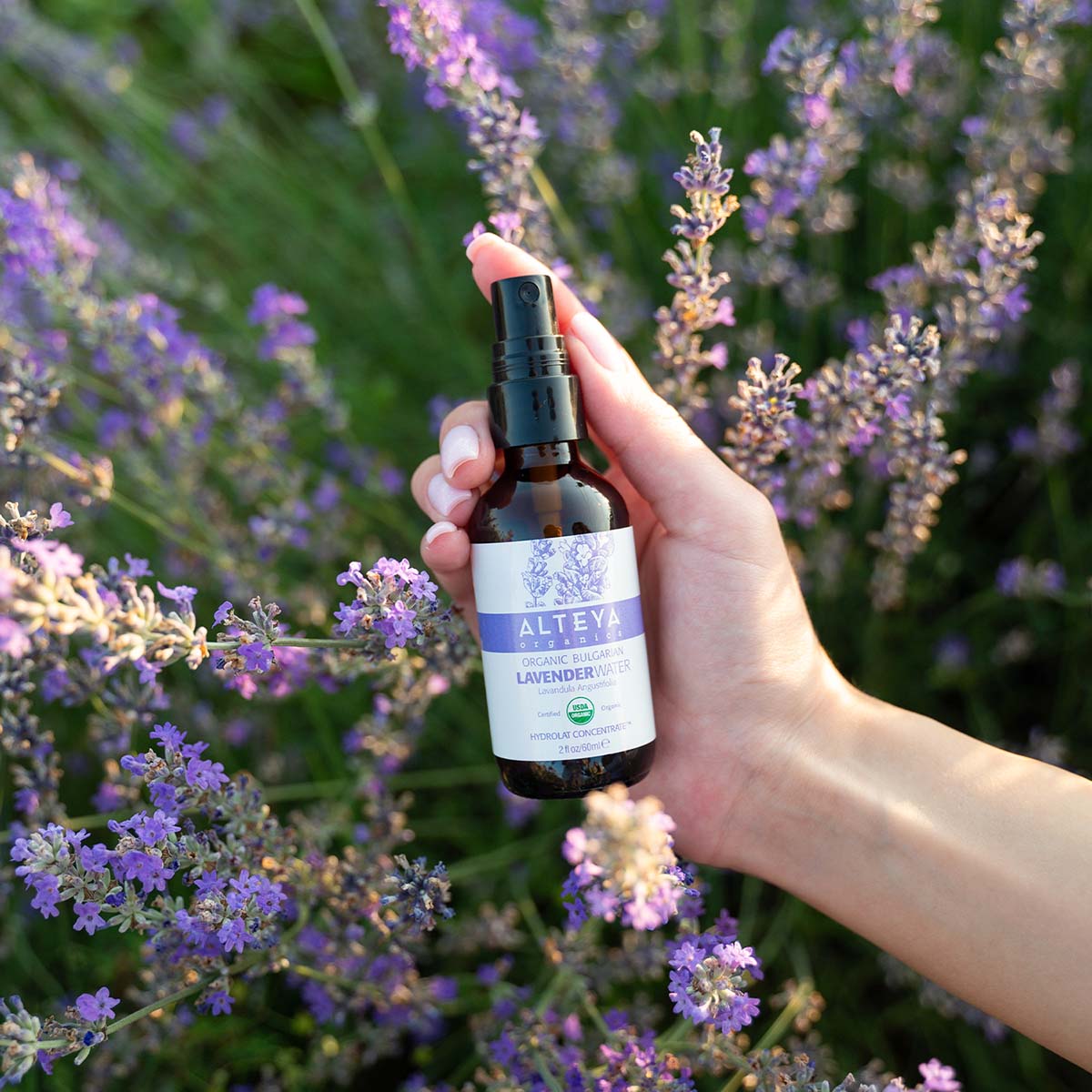 Lavender Water alteya organics