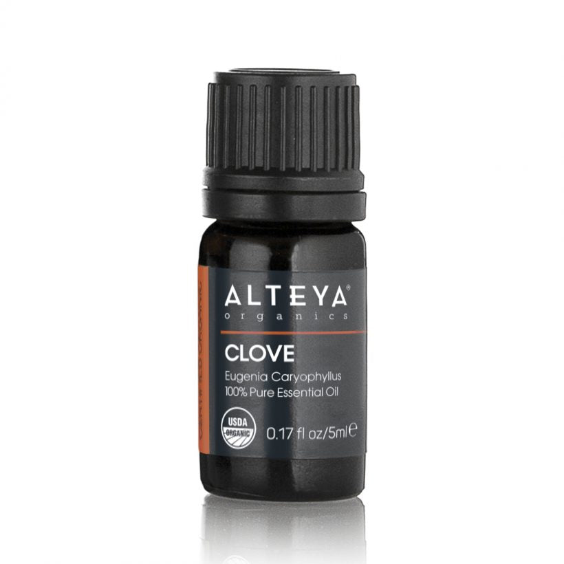 Clove essential oil is extracted by steam distillation of Eugenia Caryophyllus tree buds.