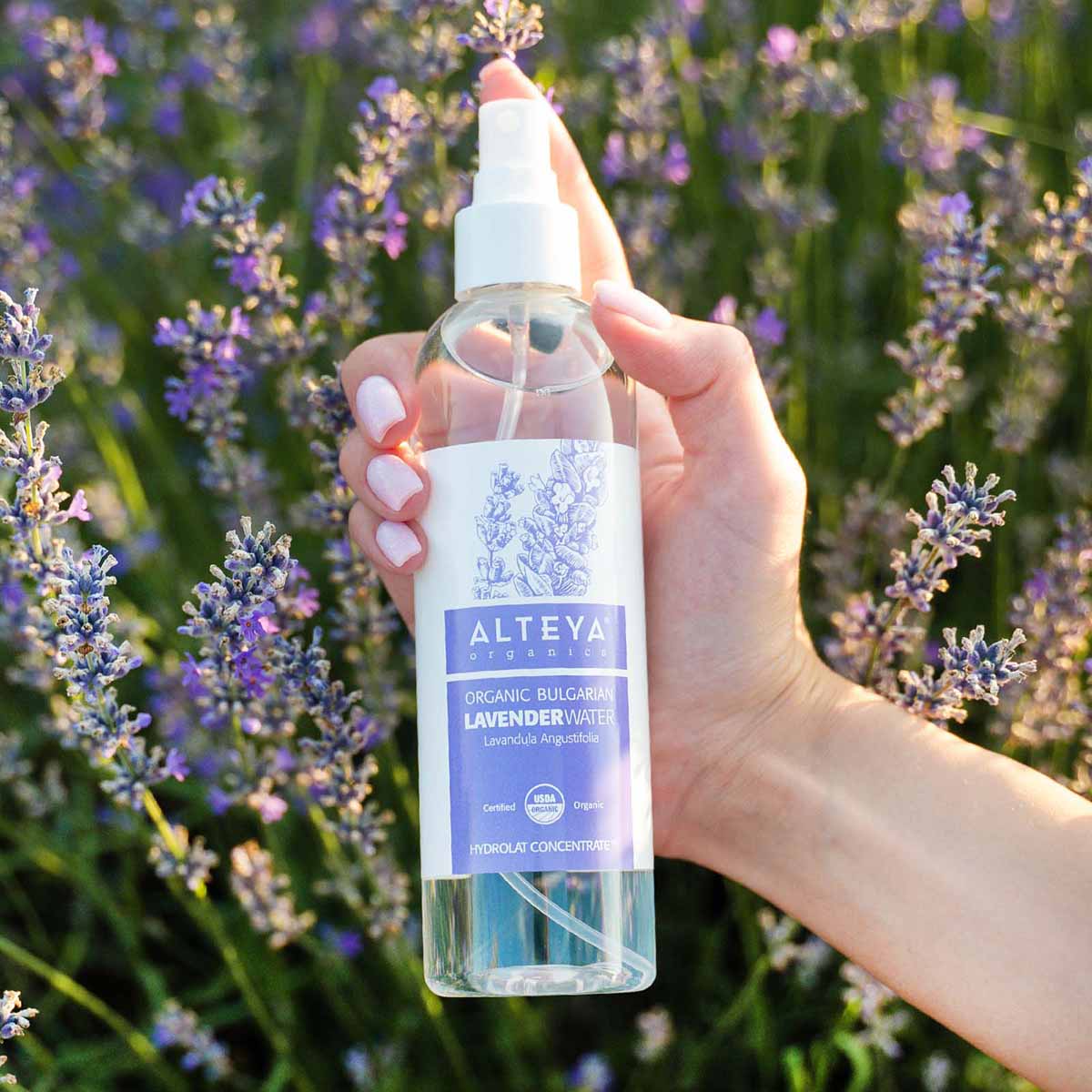 lavender-water-250ml-pet spray