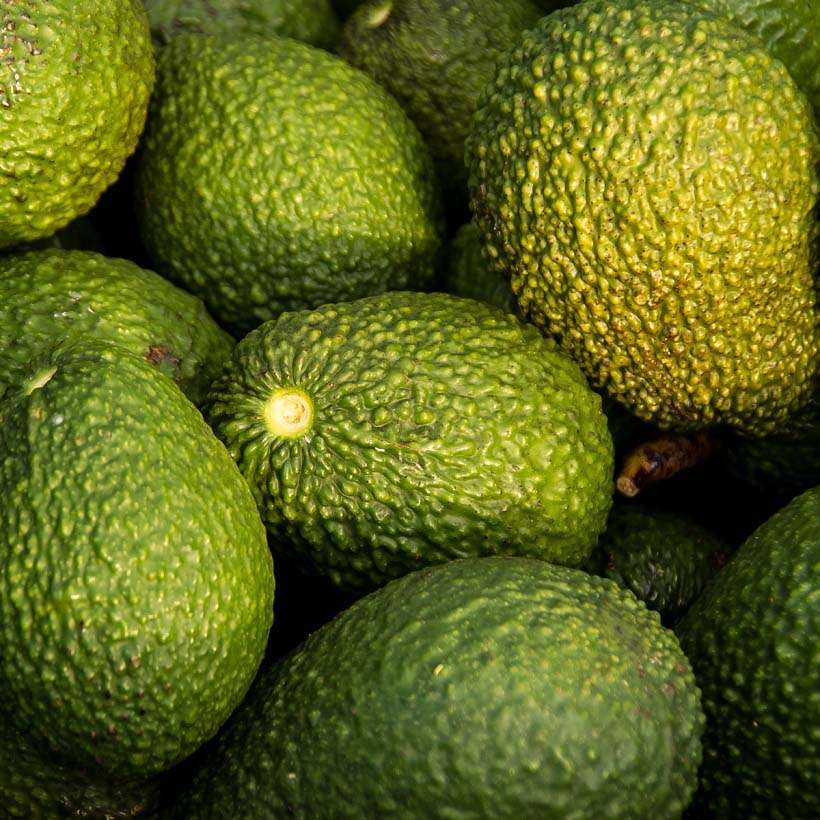 certified organic avocado oil