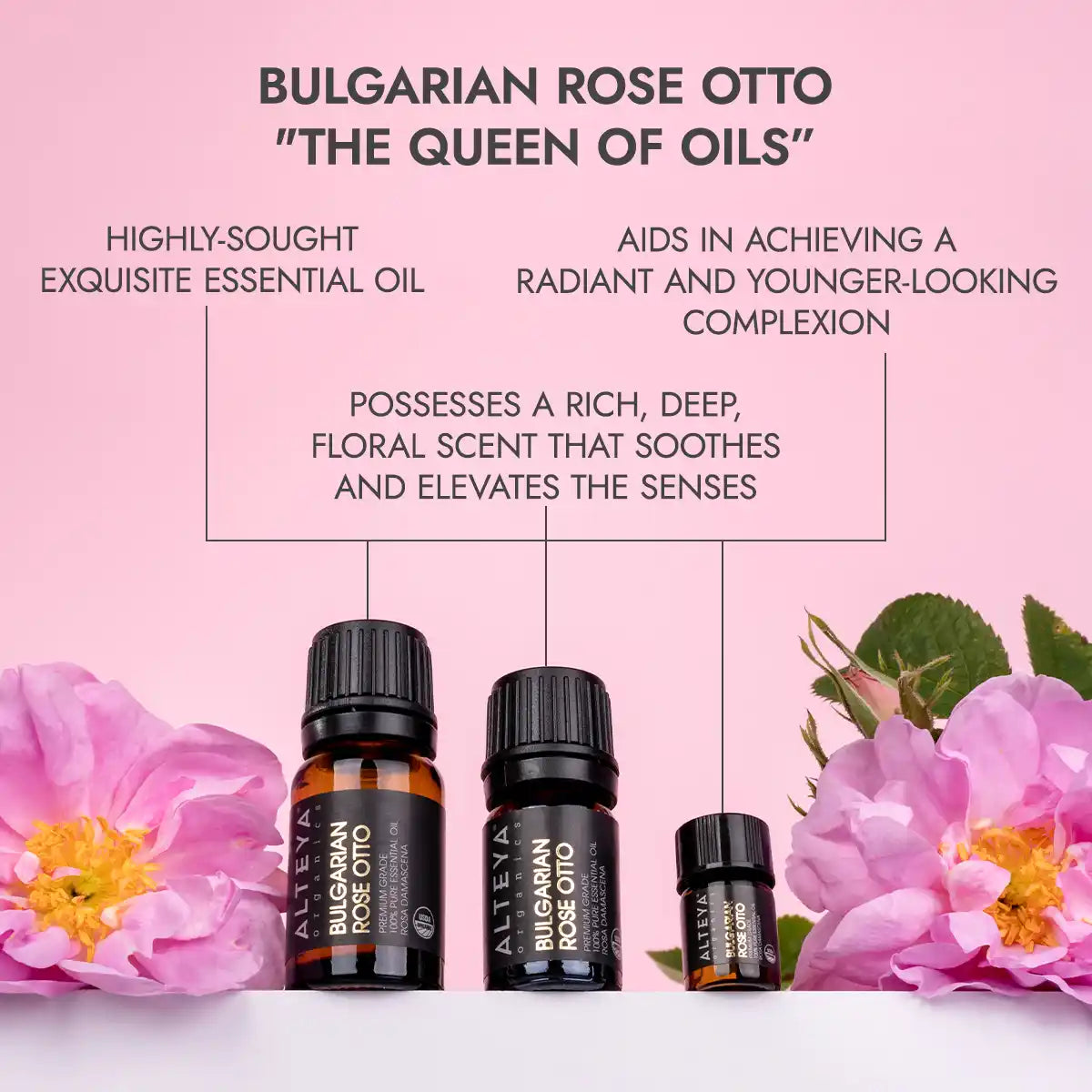 the queen of oils bulgarian rose essential oil alteya organics